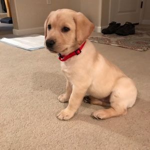 Meet your Posher, Sharon